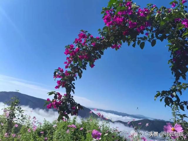 旅居祥云 | 东山乡：山水入画，自在呼吸