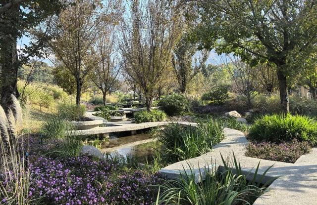 【冬季暖阳 凉山不凉】德昌海花沟康养旅游联动发展新实践