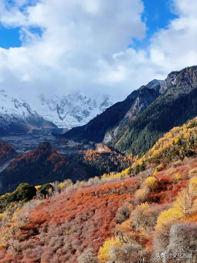 第一次去西藏来这里，雪山森林，天然氧吧！