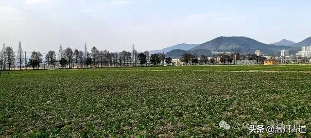 温州园博园将于2月试运营！走，上老虎山看南园北园是什么模样！