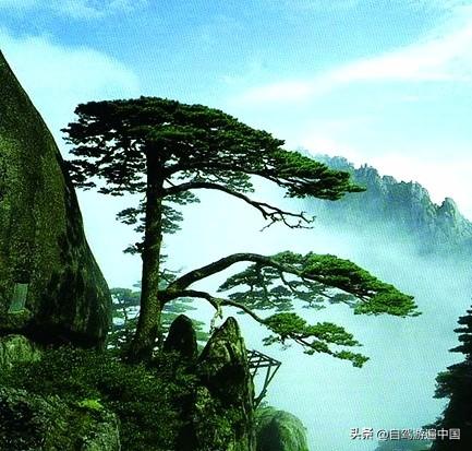 中国旅游必去十大最美名山你去过几个？