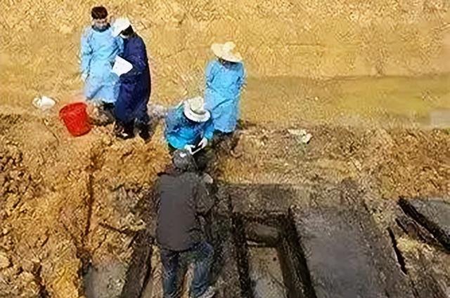 丰县河底藏着一座"地下宫殿"？石马石狮守护的明代官场密码