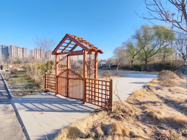 德州城西“花园营地”怎么不见了？