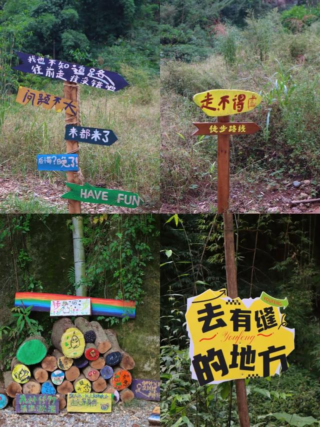 周末就冲！亲测3条被严重低估的徒步线，林海吸氧峡谷石窟！全部免费最快40min飙拢！