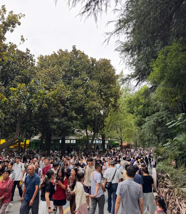 上海人国庆勇闯南京，3天暴走实录！