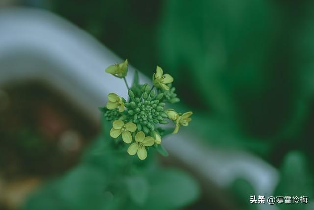 男人如何去刺激女人的荷尔蒙？方法很简单	，不信可以试试。