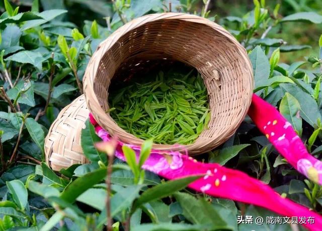 九寨沟票已售罄？别急！隔壁文县等你来解锁山水秘境！