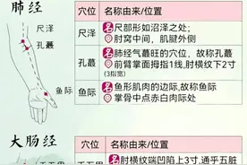 十二经络，易堵塞的穴位，经常按按能疏通！图片