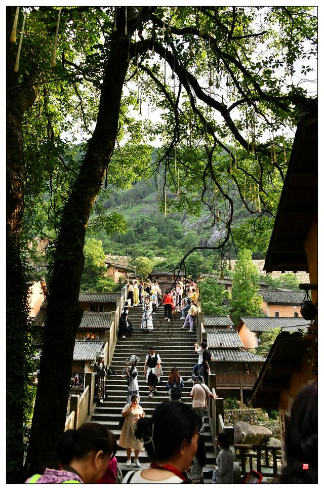 江西上饶望仙谷（二）