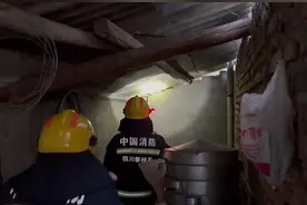 四川攀枝花 眼镜蛇钻墙缝玩捉迷藏，119智取拿下图片