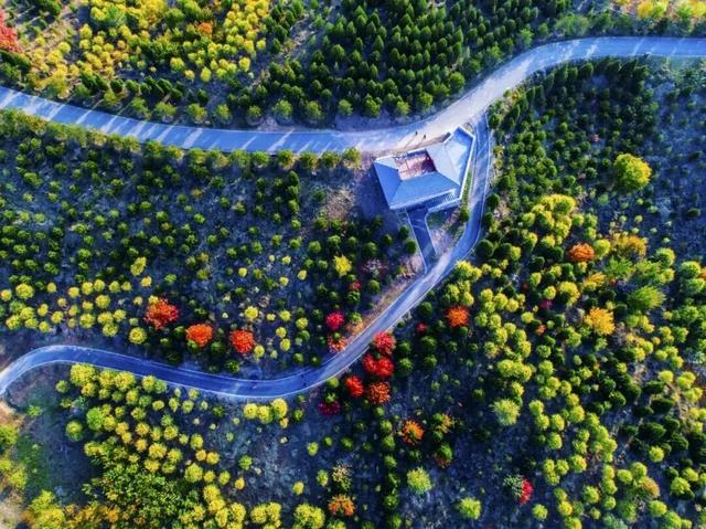 人少景美!丰台这些“秋季限定”进入倒计时!