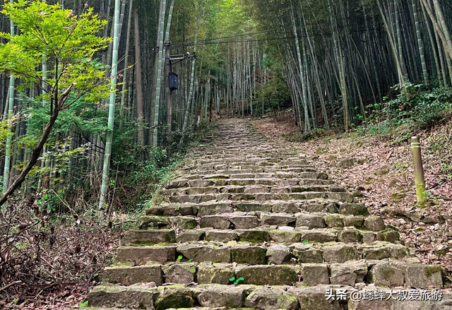来徒步浙江“古道高速路”吧，限时免费畅玩，一趟直接跨越千年！