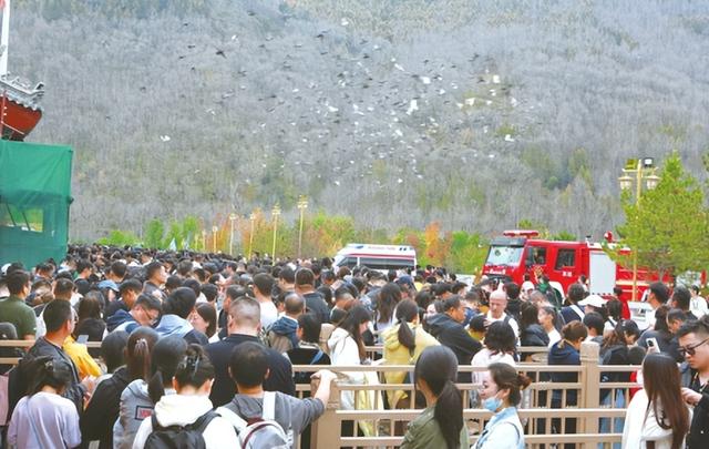 【欢度国庆 乐享假期】节日市场 活力十足