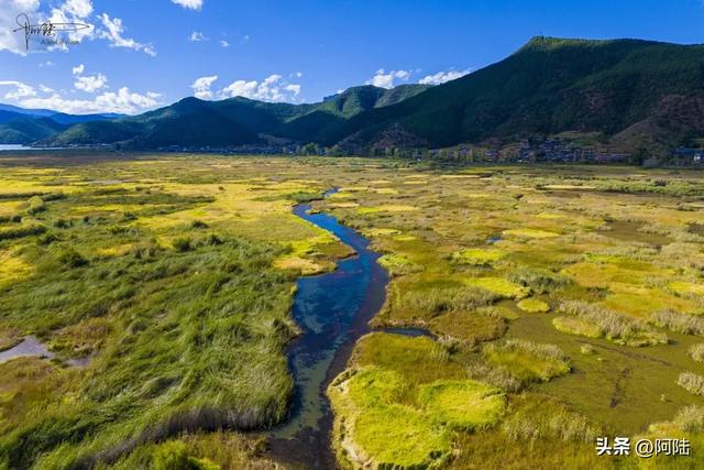 泸沽湖草海差点把我看吐了,到处是油画般的场景,能不能别这么美