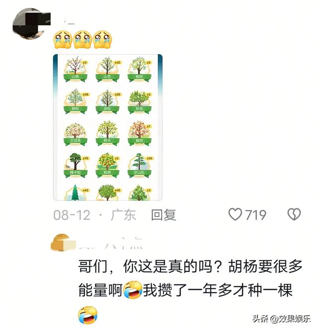 我天，以为蚂蚁森林都是过去式了，没想到马云还在坚持，牛逼。