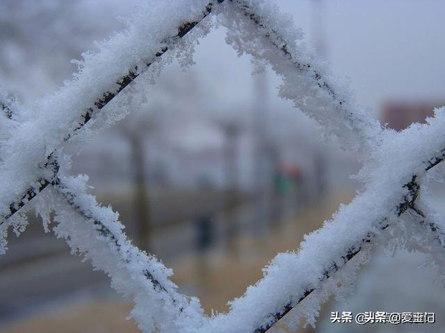 白天霜降，立冬穿袄；晚上霜降，单衣过冬，今年霜降在哪？早了解