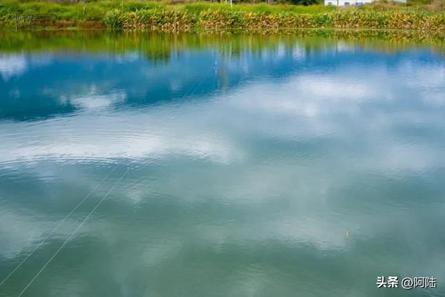 洱海边惊现四川人发明的绝招-过河钓,老哥自称已经玩了20多年
