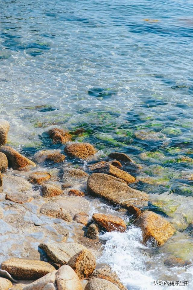 叔叔阿姨的《山海松弛秘籍》，我学了！