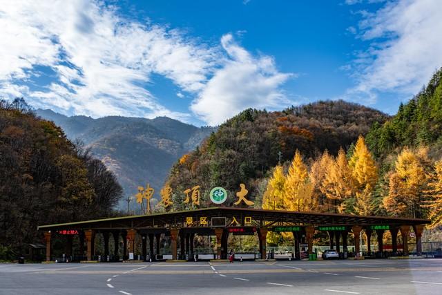 神农架秋色终极指南：这样玩，从入门到精通！