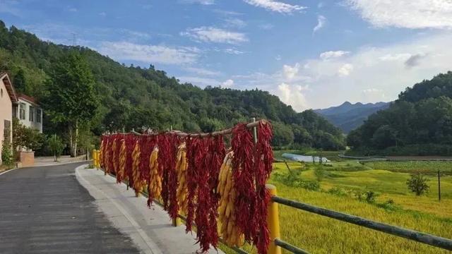 【秋意渐藏，冬序初开】石泉的旅行，是秋的告别礼，也是冬的见面笺