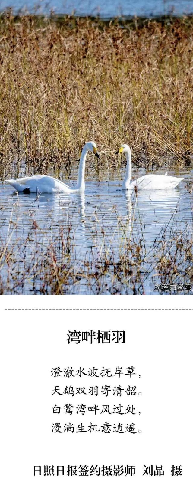 别错过！在日照这些地方收藏一整年的绚烂！