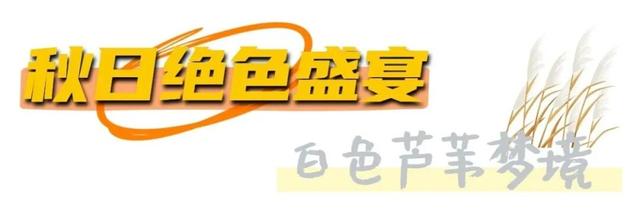 烟台秋日绝色盛宴筹备中，走！寻秋去！