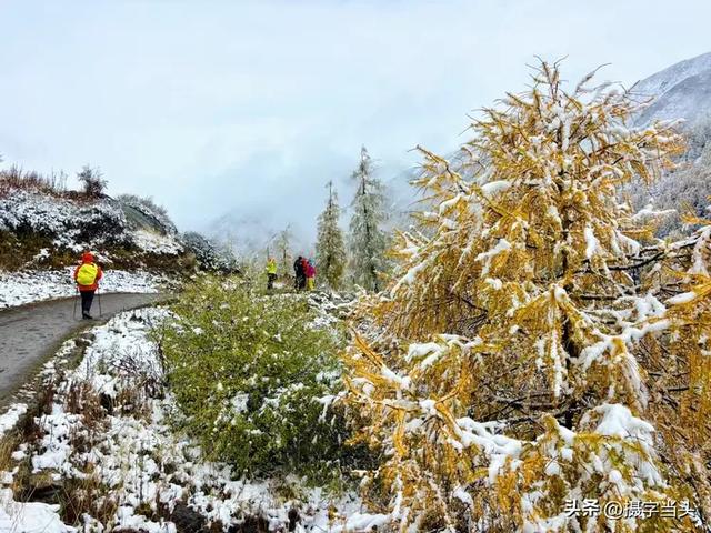 甲依拉措 ：一场白雪与彩林的盛宴