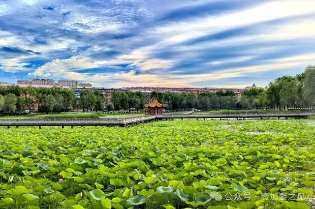 山水园林城 魅力七台河（上篇）