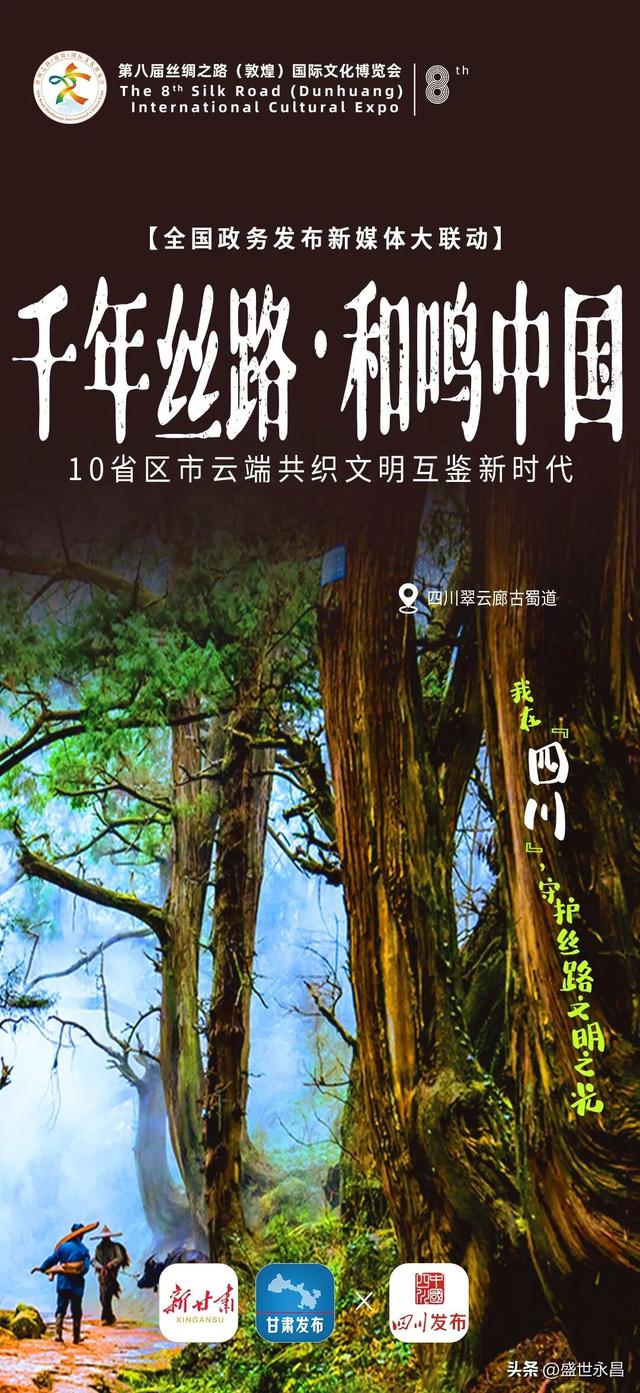 千年丝路正年轻！10省区市携手奏响时代和鸣