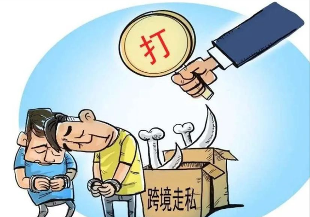 置国家利益于不顾，稀土被大量偷运美国，中国多部门对走私出重拳