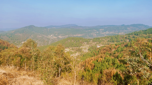 成都秋冬徒步NO.1，这是我见过最美的山脊线，1h可达亲子友好！