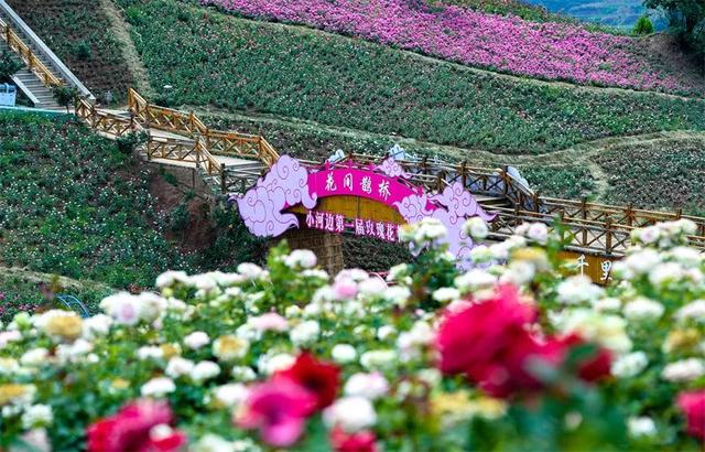 正在公示!红河州3地入选