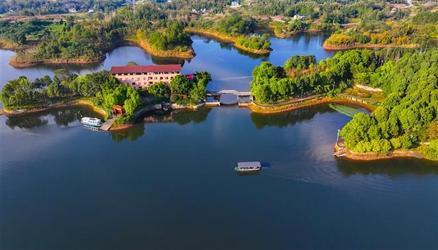 湖光山色 + 野鸭嬉戏！垫江迎风湖的初冬美景藏不住啦～