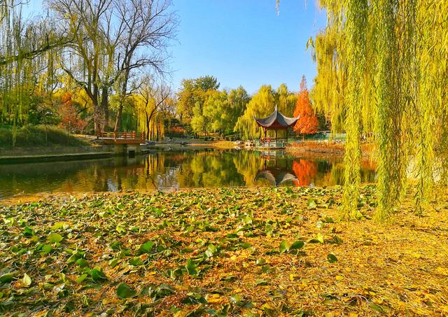 狂风散尽现碧空 北京市民陶然亭公园共赴“大风蓝”之约