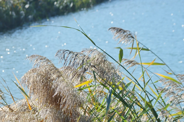 北京最美落日新地标，就在这——