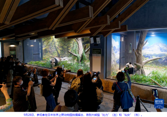 没有回旋余地	，中国下令直接收回，17万日本人泪奔，高市闯祸了！