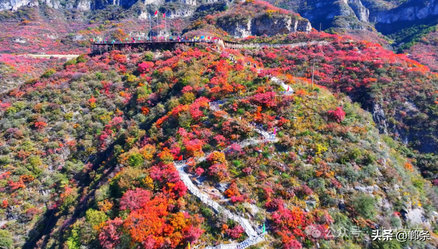 冬日美景入画来