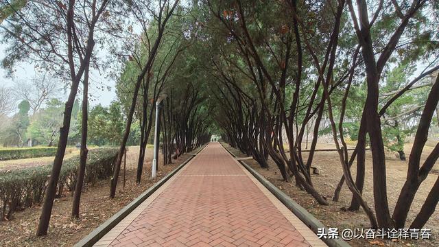 淄博市淄川区西山公园，有座供奉泰山奶奶的日本神社，是真的吗？
