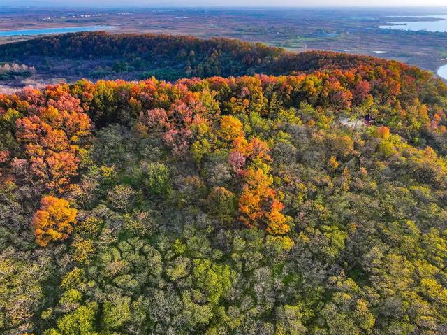 免费打卡明光女山,人少景美超级治愈~
