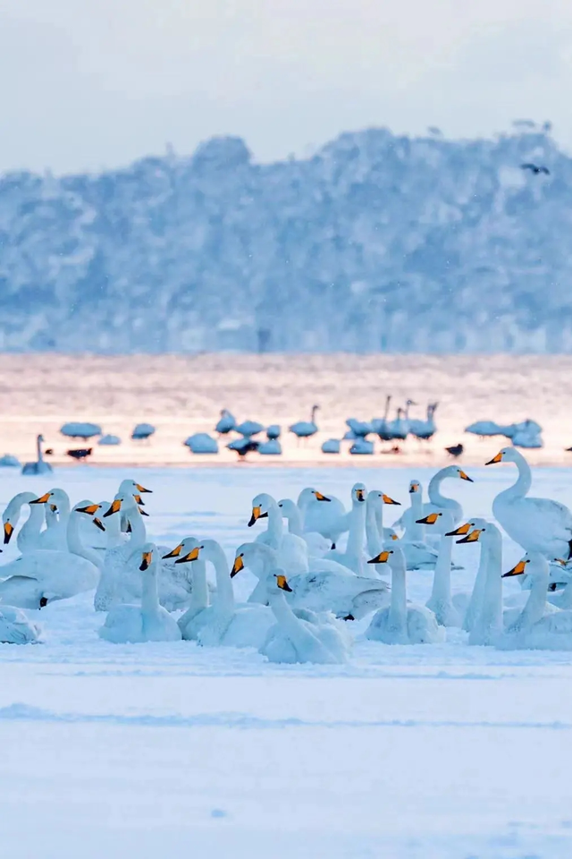 董宇辉向世界推荐，“请花几天时间去山东”！