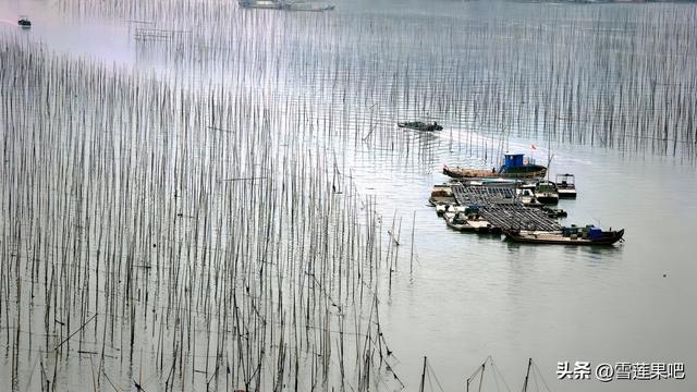 水墨国画，诗意霞浦