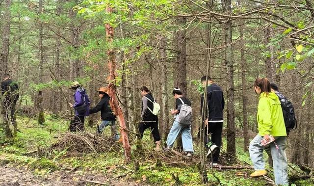 山水怡情，静享时光！礼县这条生态旅游线路，等你解锁→