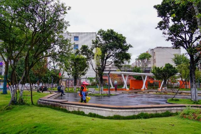 大理，更绿更美了