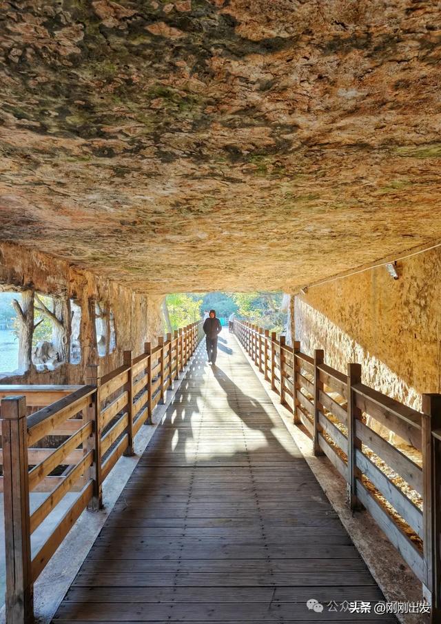 公交直达,大连这个免费公园枫叶正当时,赏秋好地方