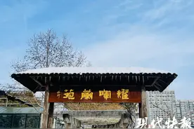 盐城“兰花大王”孙建华新年聊“花事”图片