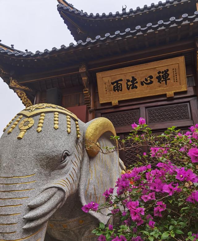 我是北京人，去了趟合肥逛了三景点，憋了3个疑问不吐不快。