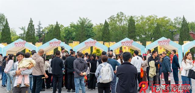 洪洞大槐树：非遗寻根之旅，国庆“回家团圆”盛宴