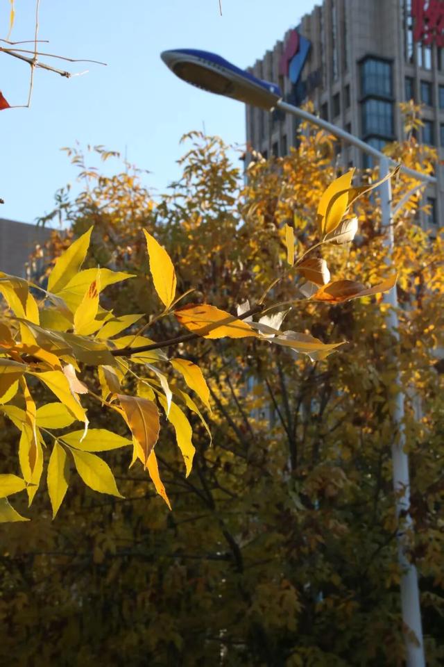 进度已达90%！呼和浩特进入全盛期！最近每天都不一样，呼市人抓紧出门