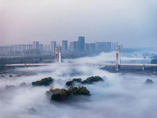 太期待了！接下来的洛阳，是这样的...