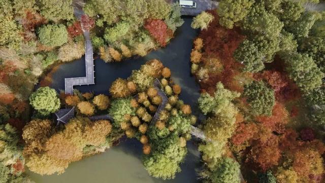 这样的张家港，我“All in”了！